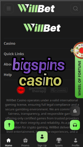 BigSpins Casino - High-Stakes Slot Spins-casinoorder.vip
